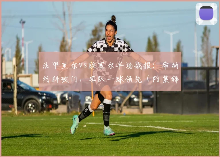 法甲里尔vs欧塞尔半场战报：希纳约科破门，客队一球领先（附集锦）
